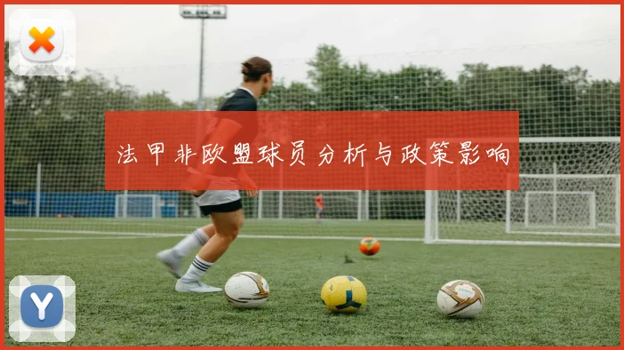 法甲非欧盟球员分析与政策影响