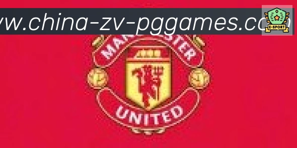 PG模拟器官方网站合作伙伴