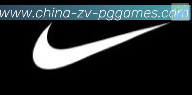 PG模拟器官方网站合作伙伴